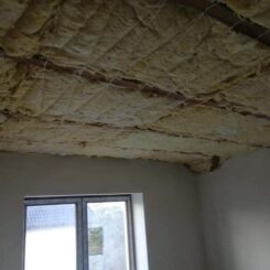 FB_IMG_1581696292619