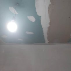 _IMG_20200410_115433_1