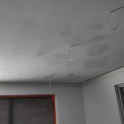 IMG_20201020_074133_1