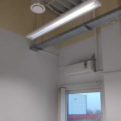 IMG_20201215_130229_1