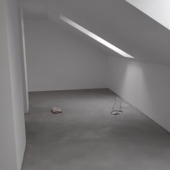 _IMG_20200505_110328_1